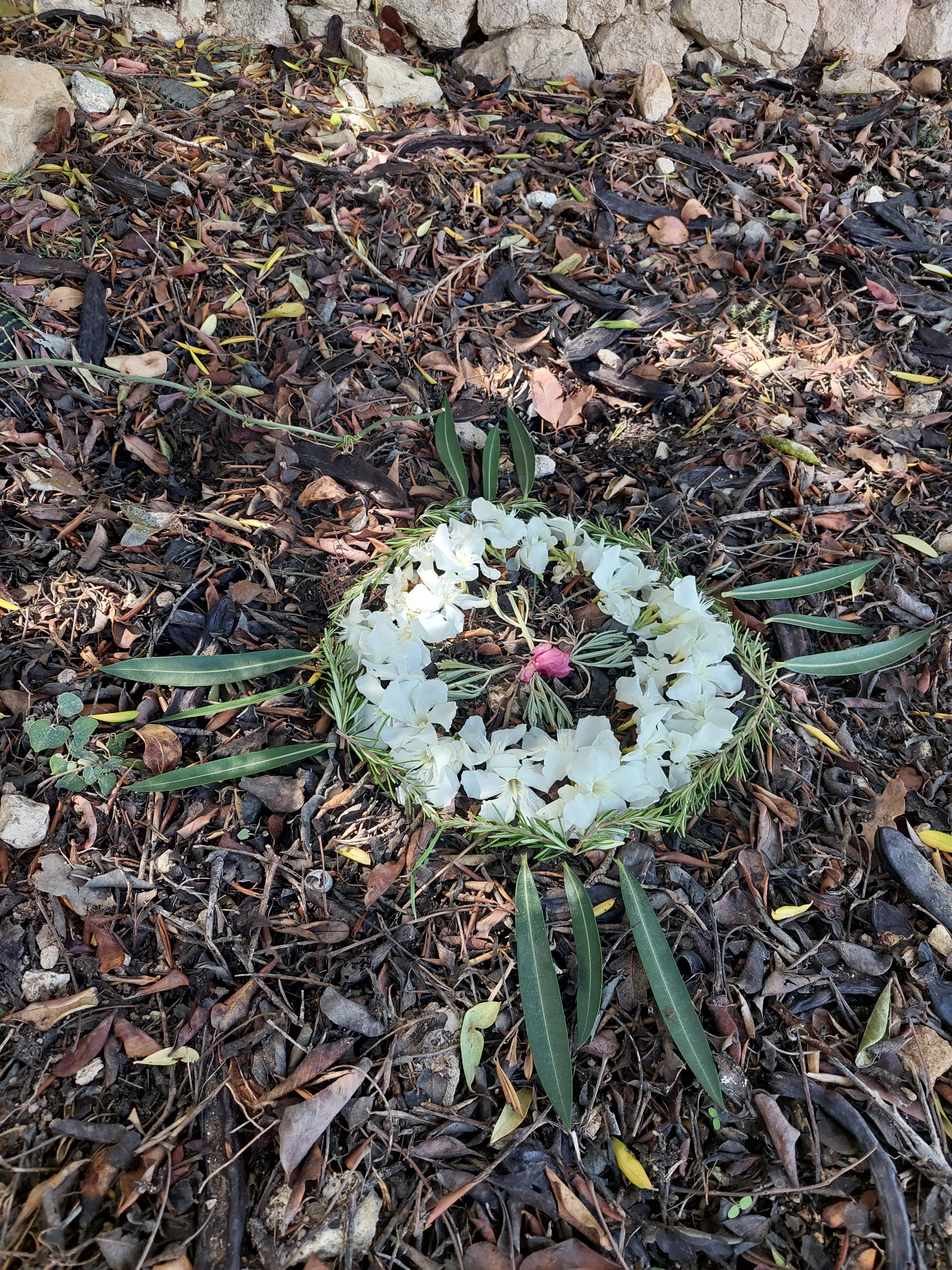 Where Intention becomes form